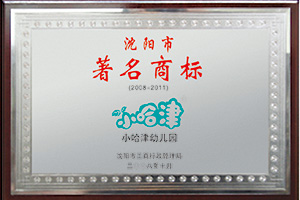 新蒙氏發(fā)展歷程